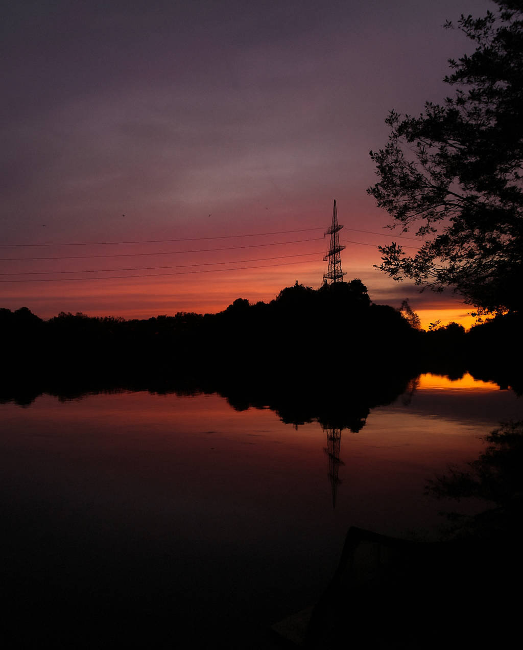 Angler steht am See mit schwarzem PlatinCarpBase T-Shirt und Logo auf dem Rücken beim Karpfenangeln