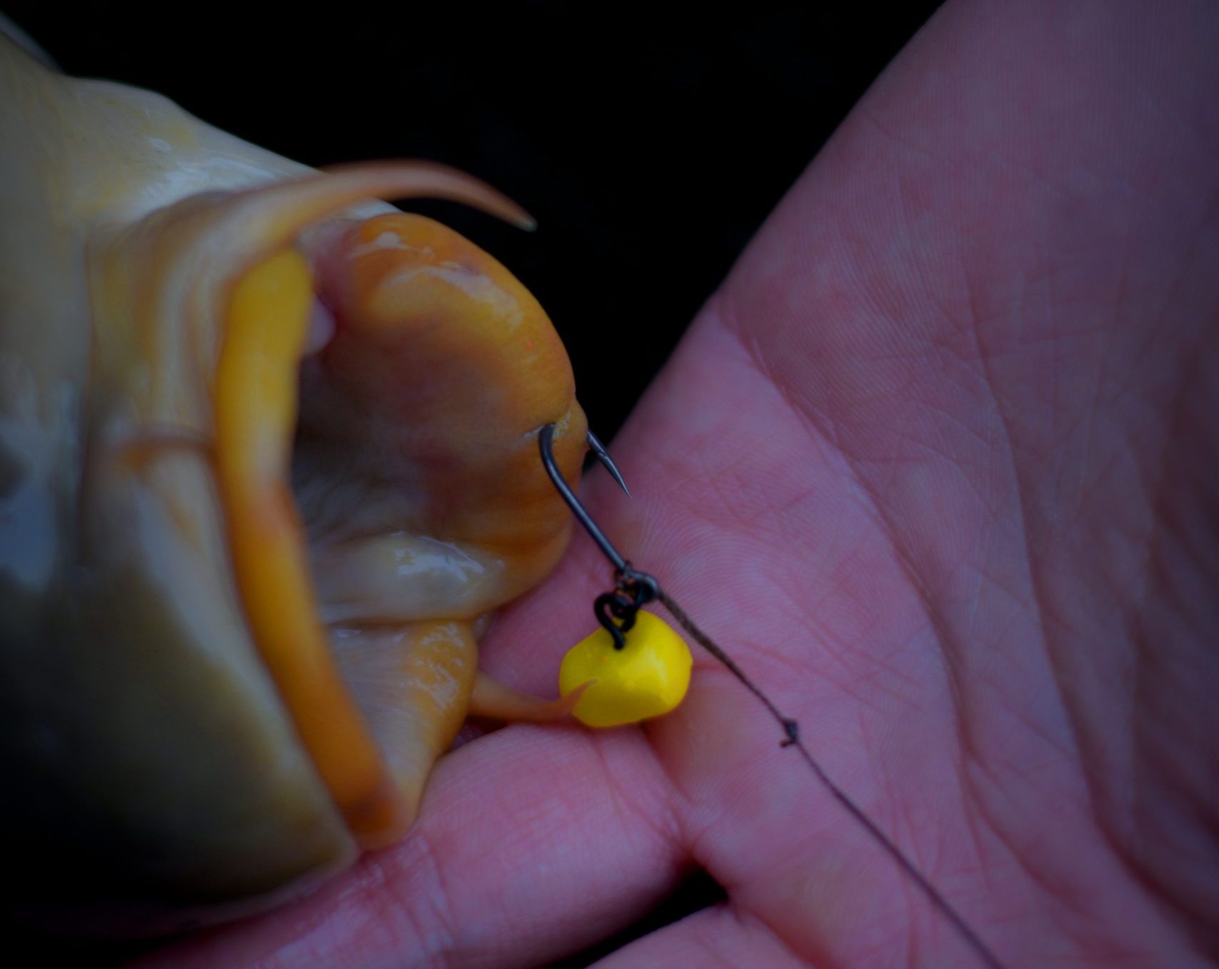 Schlichte Verpackung und Tackle auf dem Tisch