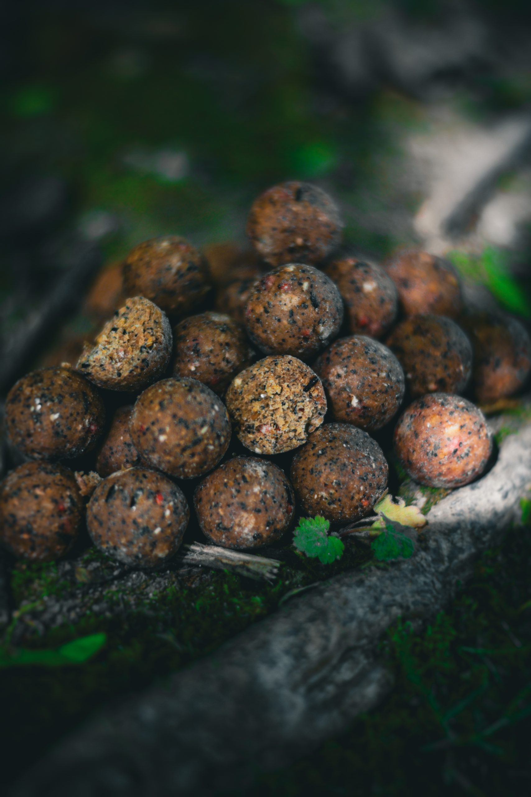 Köder und Boilies